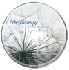 drifat-away-cd