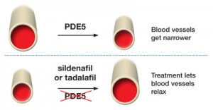 Phosphodiesterase 5 inhibitors PHA